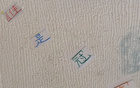 中超11輪，冠軍之爭(zhēng)顯露，海港無(wú)需多慮。