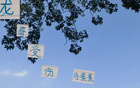 蔣內(nèi)傷，大連賽，馬艾誰得機(jī)？
