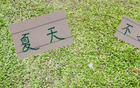 申花領先6分，國安續(xù)約烏，夏窗靜待。