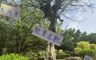 米內(nèi)羅金靴，申花奪冠，范志毅95年輝煌再現(xiàn)。