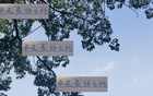 申花后勁不足，去年已現(xiàn)。海港、國安仍有翻盤機(jī)會(huì)。