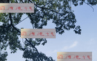 巴爾加斯助新東家保級(jí)，中超外援價(jià)值顯！
