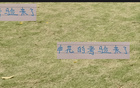 金順凱艾迪挑戰(zhàn)，申花奧特曼能否助年輕人勝出？