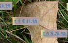 米內(nèi)羅出局，申花急招外援，夏窗換血定局！