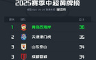 中超半程黃牌榜：西海岸領(lǐng)跑，津門虎次之，魯蓉成第三。
