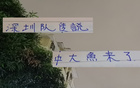 中超29輪，申花戰(zhàn)深圳挑戰(zhàn)大，新英超射手助陣。