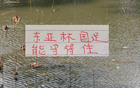申花蔣圣龍傷缺合練，國安猛將因傷離隊