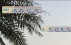 事出反常，申花老謀深算，勝后申訴，輿論戰(zhàn)不簡單。