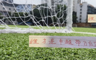 蔣圣龍VS提莫，誰為中超最佳帶刀中衛(wèi)