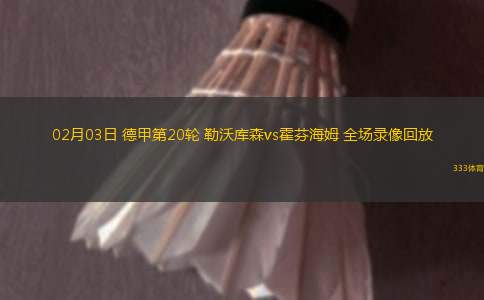 02月03日 德甲第20輪 勒沃庫森vs霍芬海姆 全場(chǎng)錄像回放