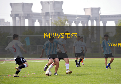 圖恩VS韋爾