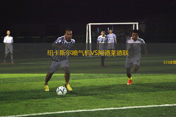 紐卡斯?fàn)枃姎鈾C(jī)VS阿德萊德聯(lián)