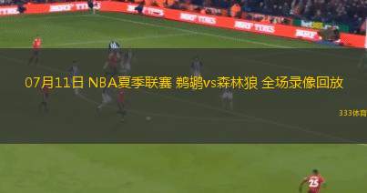 07月11日 NBA夏季聯(lián)賽 鵜鶘vs森林狼 全場錄像回放
