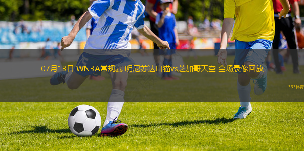 07月13日 WNBA常規(guī)賽 明尼蘇達(dá)山貓vs芝加哥天空 全場(chǎng)錄像回放