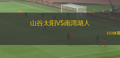 山谷太陽VS南灣湖人