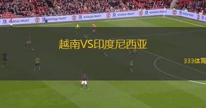 越南VS印度尼西亞