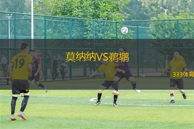 莫納納VS鵜鶘