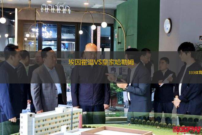 埃因霍溫VS皇家哈勒姆
