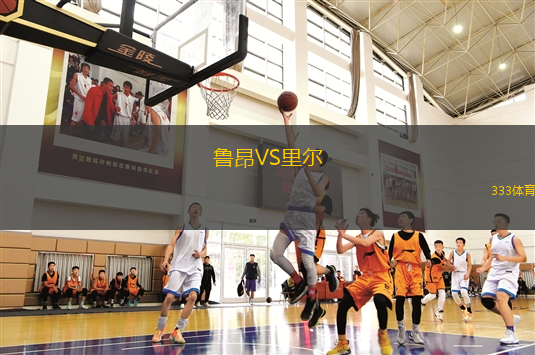 魯昂VS里爾