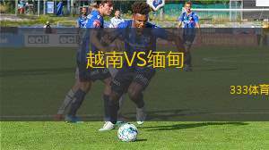 越南VS緬甸