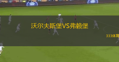 沃爾夫斯堡VS弗賴堡