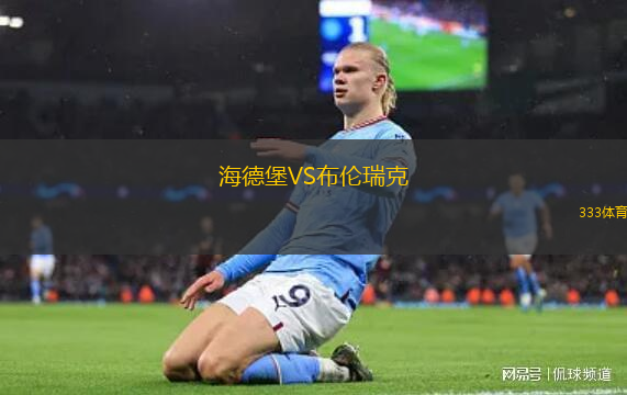 海德堡VS布倫瑞克