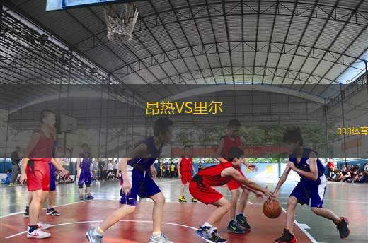 昂熱VS里爾