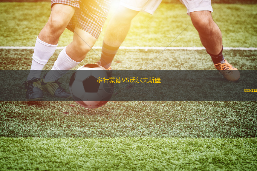 多特蒙德VS沃爾夫斯堡