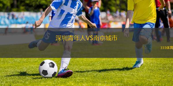 深圳青年人VS南京城市