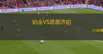 鉑金VS恩蓋濟鉑