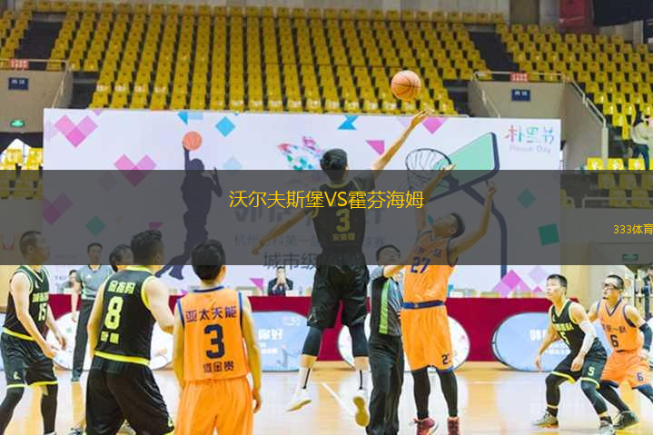 沃爾夫斯堡VS霍芬海姆
