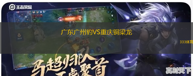 廣東廣州豹VS重慶銅梁龍