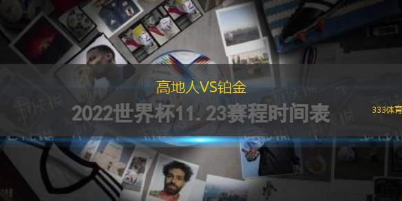 高地人VS鉑金