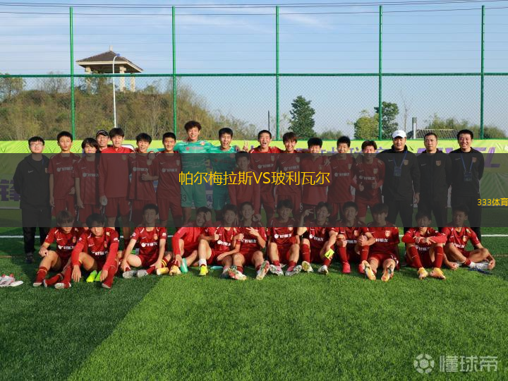 帕爾梅拉斯VS玻利瓦爾