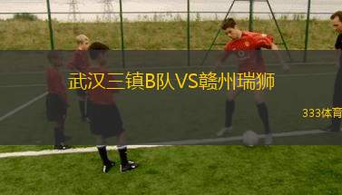 武漢三鎮(zhèn)B隊(duì)VS贛州瑞獅