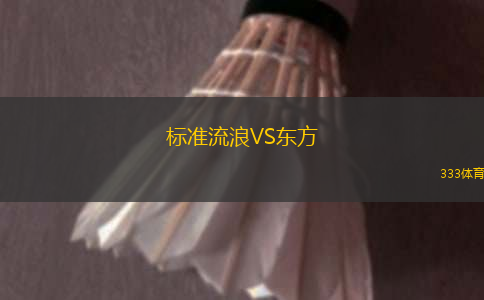 標準流浪VS東方