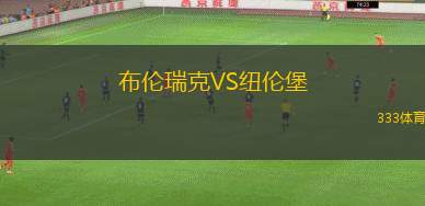 布倫瑞克VS紐倫堡