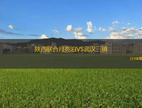 陜西聯(lián)合月亮泊VS武漢三鎮(zhèn)