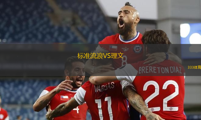 標(biāo)準(zhǔn)流浪VS理文