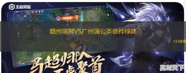 贛州瑞獅VS廣州蒲公英德樺綠建