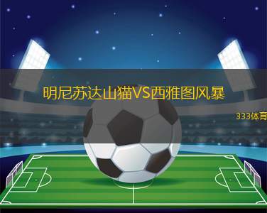 明尼蘇達(dá)山貓VS西雅圖風(fēng)暴