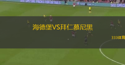 海德堡VS拜仁慕尼黑