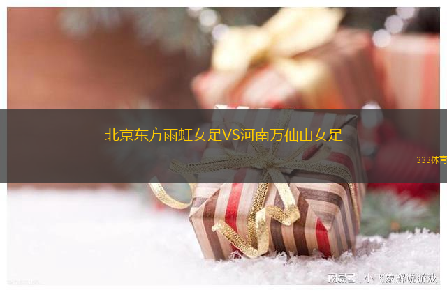 北京東方雨虹女足VS河南萬(wàn)仙山女足