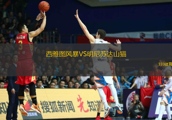 西雅圖風(fēng)暴VS明尼蘇達(dá)山貓