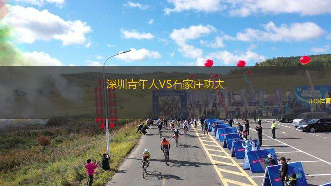 深圳青年人VS石家莊功夫