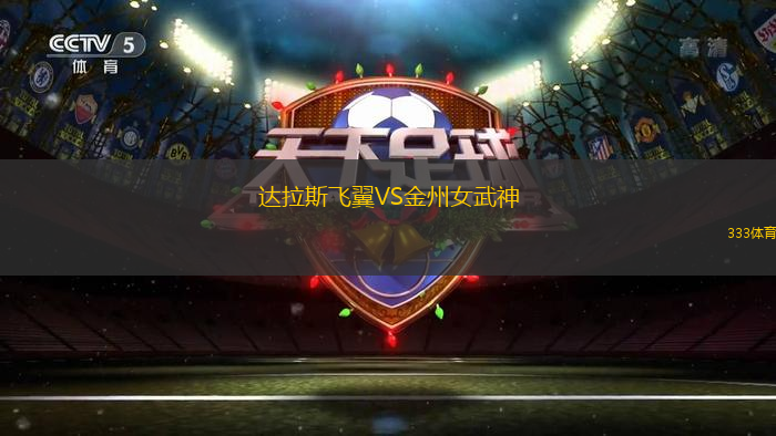 達(dá)拉斯飛翼VS金州女武神