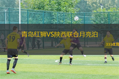 青島紅獅VS陜西聯(lián)合月亮泊