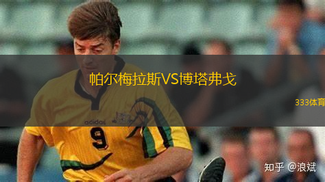帕爾梅拉斯VS博塔弗戈