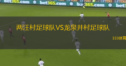 兩汪村足球隊VS龍泉井村足球隊