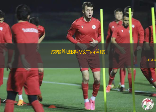 成都蓉城B隊(duì)VS廣西藍(lán)航